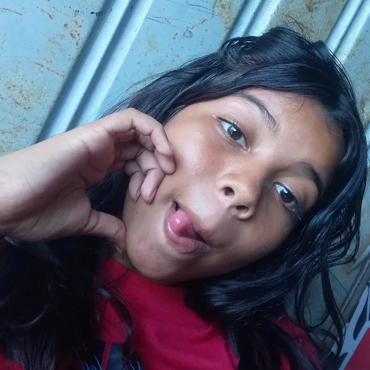 yereimislanegra