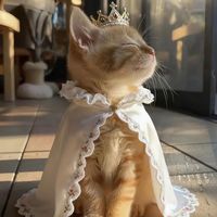 changtrainamay_05