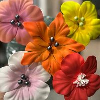 TikTok Account - https://p16-sg.tiktokcdn.com/tos-alisg-avt-0068/81bf9672e9c98bf1c2e68e647fa2354c~tplv-tiktokx-cropcenter:200:200.jpeg