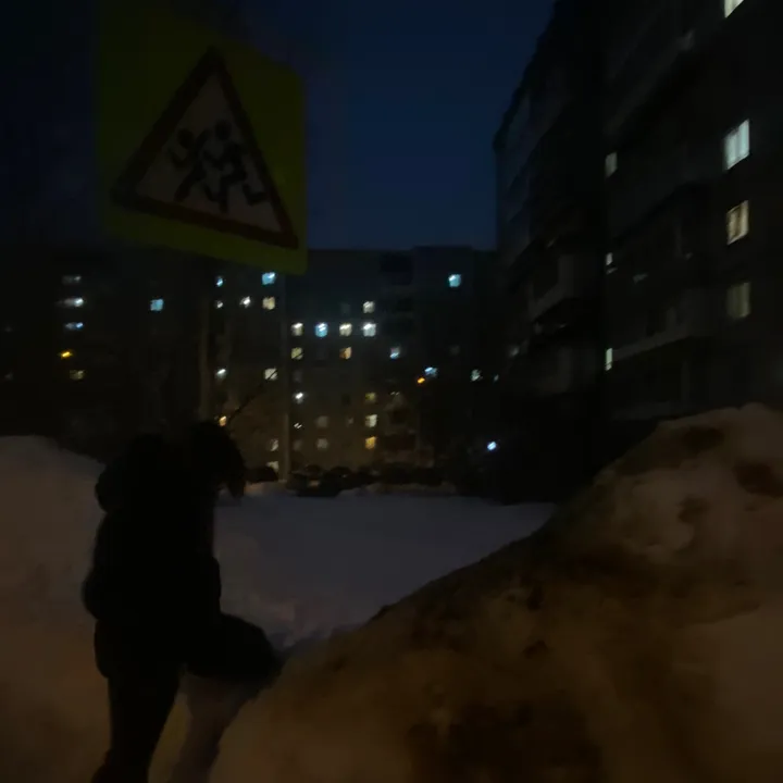alina10131