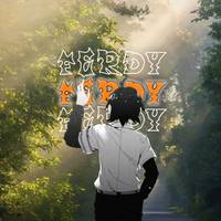 TikTok Account - fersan665