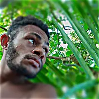 TikTok Account Photo