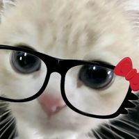 edist_kim24