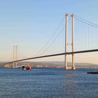 ayse_tpn.41