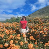 TikTok Account - https://p16-sg.tiktokcdn.com/tos-alisg-avt-0068/86f535ee525606d9d9008def00712147~tplv-tiktokx-cropcenter:200:200.jpeg