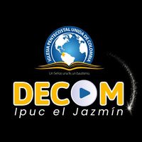 decomjazmintulua