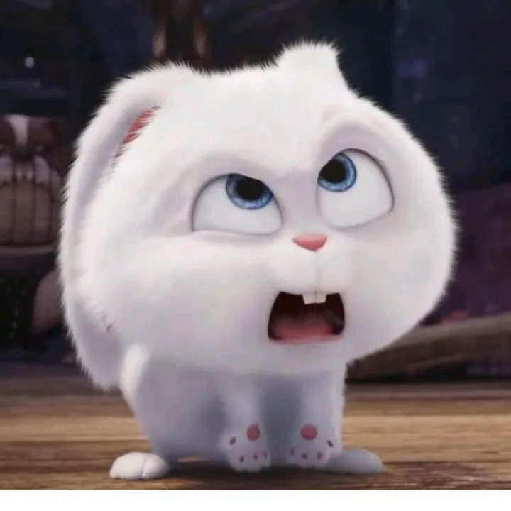 livelyaoy2
