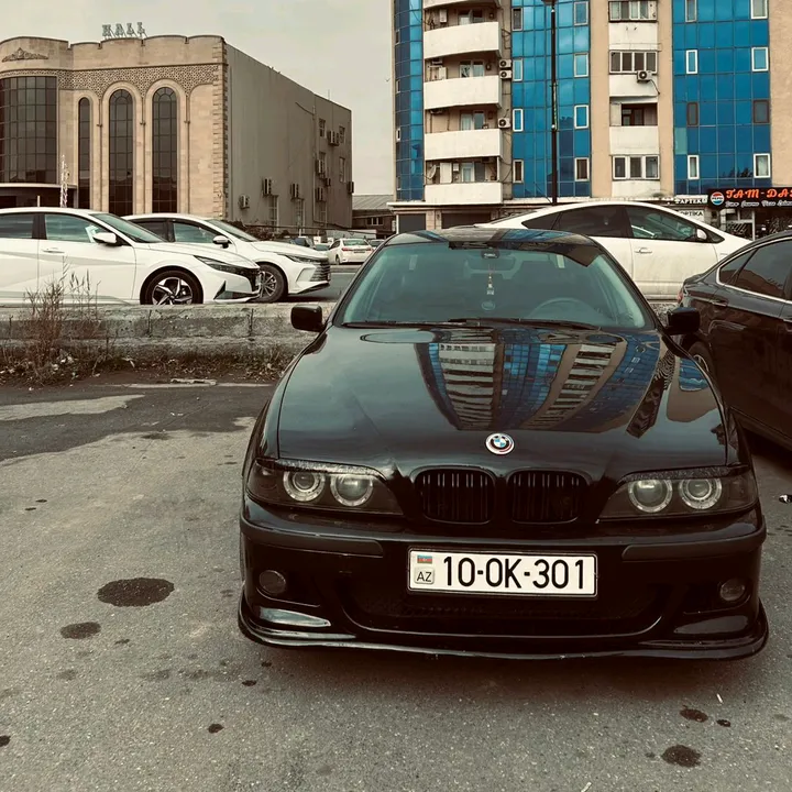 royal_8293