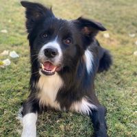 TikTok Account Photo