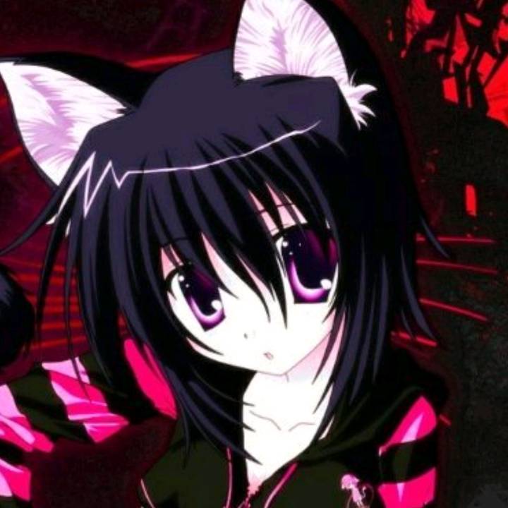 lexycat - 花店