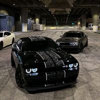 j_msic0