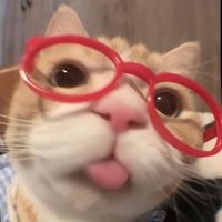 natch__45