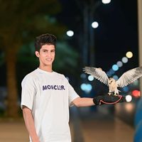 TikTok Account - https://p16-sg.tiktokcdn.com/tos-alisg-avt-0068/8c1762cce236eaebc50e393b32108679~tplv-tiktokx-cropcenter:200:200.jpeg