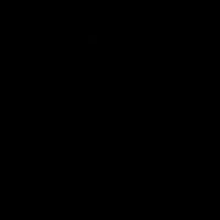 kirrae_hanabee