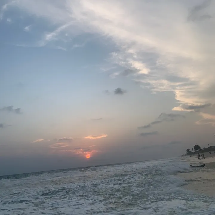 natashagreen99