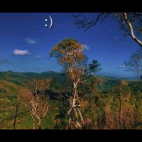 TikTok Account - https://p16-sg.tiktokcdn.com/tos-alisg-avt-0068/8e9f75e829d774d406f13ec1de97261c~tplv-tiktokx-cropcenter:200:200.jpeg