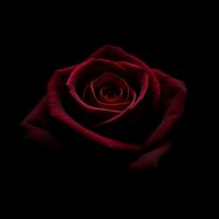 original sound - tomlyrc