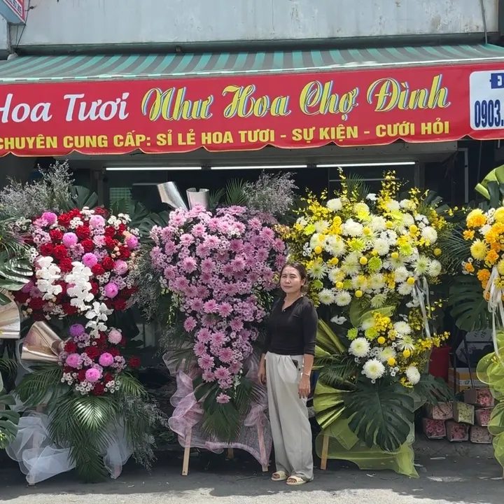 hoatetbinhduong