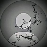 hasson_755