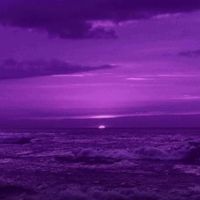 TikTok Account - https://p16-sg.tiktokcdn.com/tos-alisg-avt-0068/8fbc4e9cc9f44c497a00c6f953b2be25~tplv-tiktokx-cropcenter:200:200.jpeg