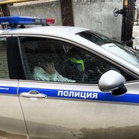 TikTok Account - https://p16-sg.tiktokcdn.com/tos-alisg-avt-0068/8ffd1cbd00495fd55b9b5346286192d7~tplv-tiktokx-cropcenter:200:200.jpeg