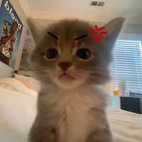 TikTok Account - https://p16-sg.tiktokcdn.com/tos-alisg-avt-0068/90ae0cff62d1f3a44763c93f270baf84~tplv-tiktokx-cropcenter-q:200:200:q70.jpg