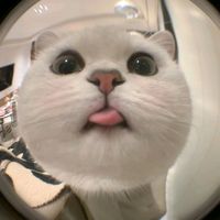 dekbaaa111