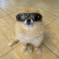 TikTok Account Photo