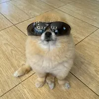 TikTok Account Photo