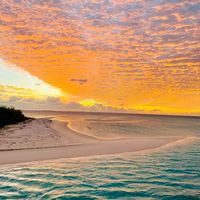 TikTok Account - https://p16-sg.tiktokcdn.com/tos-alisg-avt-0068/93717a9c5d3fb80576c3871f63059727~tplv-tiktokx-cropcenter:200:200.jpeg