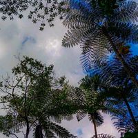 TikTok Account - https://p16-sg.tiktokcdn.com/tos-alisg-avt-0068/93d7b35efef1ad909f06d93f6913baf3~tplv-tiktokx-cropcenter:200:200.jpeg