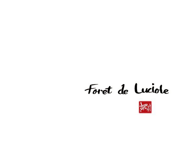 Forest of the Fireflies - episode 53 - 55