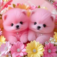 original sound - _brie06.23