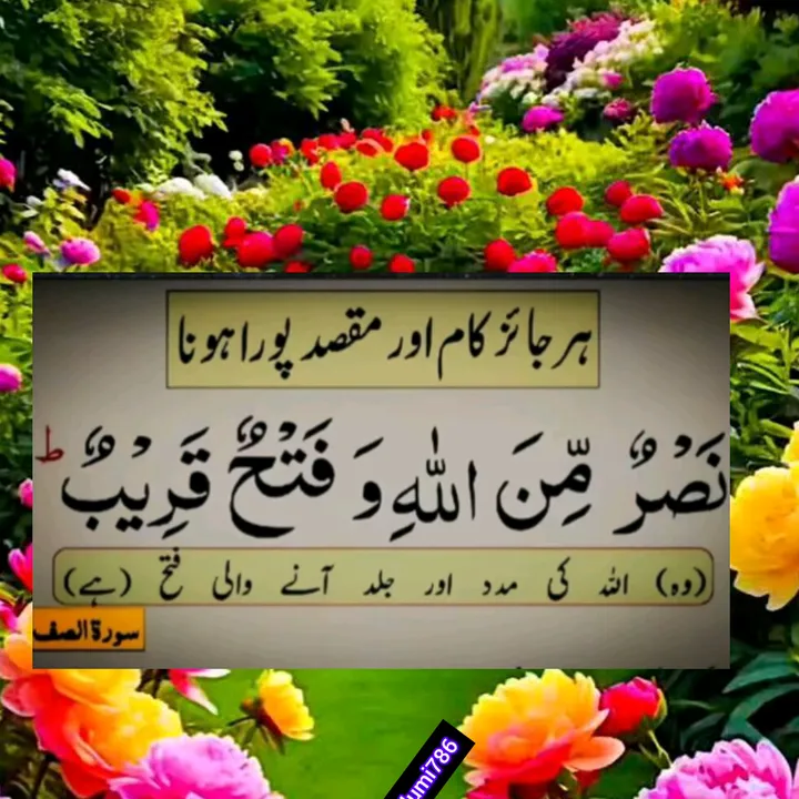 @rajajhelumi786