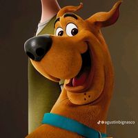 biggypopi