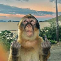 original sound - yka_npmn_451