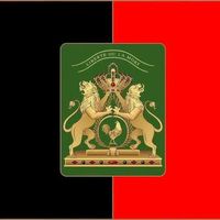 original sound - curly.h95