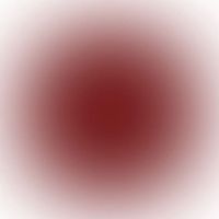 ran_08yuji_07