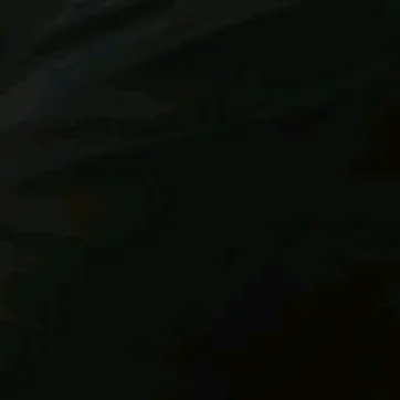 veeysel3