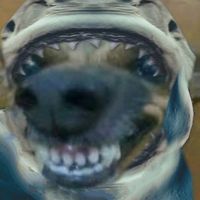 caramelogb1