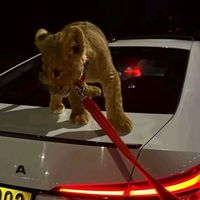 12345rrrmmmm