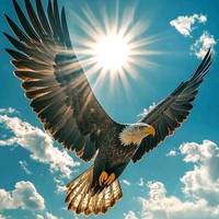 TikTok Account - ahmed_soliter.3