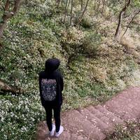 TikTok Account - https://p16-sg.tiktokcdn.com/tos-alisg-avt-0068/9afab0fd5111285d7204607333cb0609~tplv-tiktokx-cropcenter-q:200:200:q70.jpg