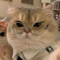 TikTok Account - https://p16-sg.tiktokcdn.com/tos-alisg-avt-0068/9bb2c9d7dede6ed56349eed7e6e0f9de~tplv-tiktokx-cropcenter:200:200.jpeg