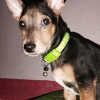 TikTok Account - https://p16-sg.tiktokcdn.com/tos-alisg-avt-0068/9c4cc08f3fe67a376f84c8b472f8edc3~tplv-tiktokx-cropcenter:200:200.jpeg