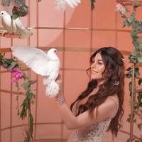 TikTok Account Photo