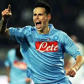 hamsik334