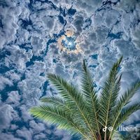 TikTok Account - https://p16-sg.tiktokcdn.com/tos-alisg-avt-0068/9c6df2c33262d7e074542de963c87d12~tplv-tiktokx-cropcenter:200:200.jpeg