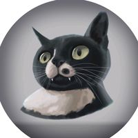 TikTok Account Photo