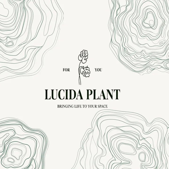 lucidaplant
